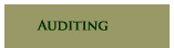 Auditing
