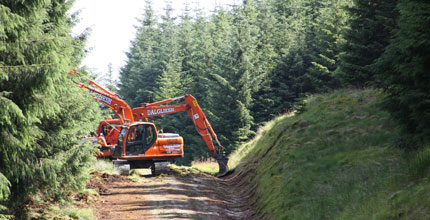 Forestry Scotland