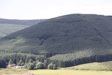 Forestry Scotland