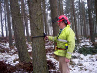 Measuring a tree