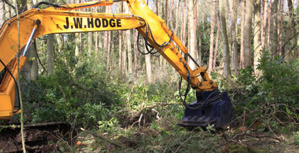 Forestry Scotland
